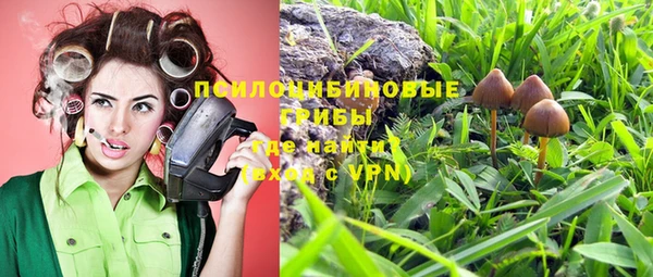 каннабис Верея